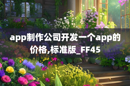 app制作公司开发一个app的价格,标准版_FF45