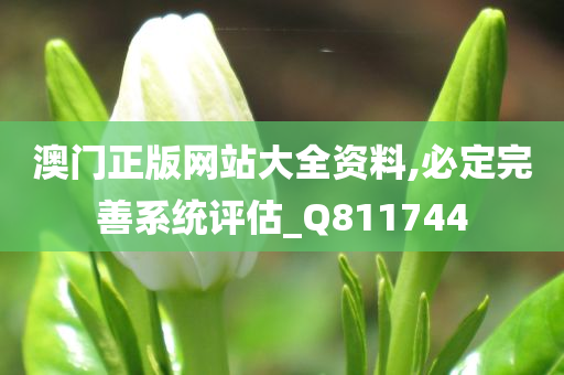 澳门正版网站大全资料,必定完善系统评估_Q811744