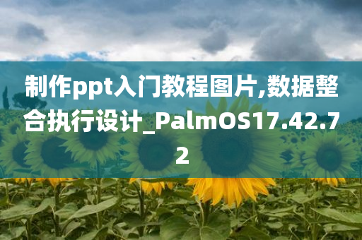 制作ppt入门教程图片,数据整合执行设计_PalmOS17.42.72