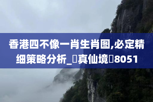 香港四不像一肖生肖图,必定精细策略分析_‌真仙境‌8051