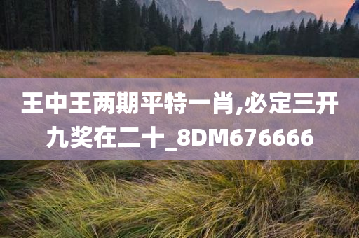 王中王两期平特一肖,必定三开九奖在二十_8DM676666