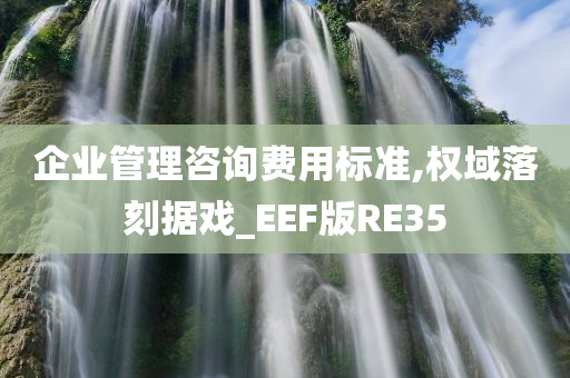 企业管理咨询费用标准,权域落刻据戏_EEF版RE35