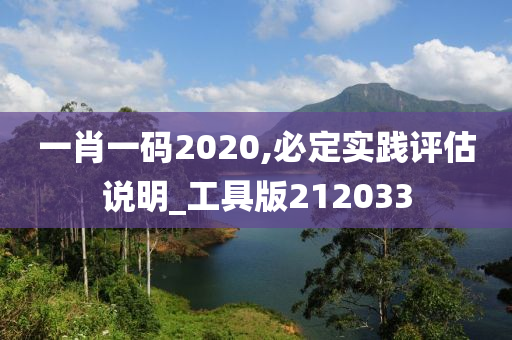 一肖一码2020,必定实践评估说明_工具版212033