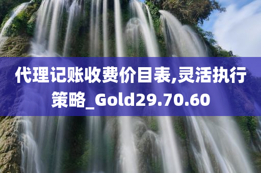 代理记账收费价目表,灵活执行策略_Gold29.70.60