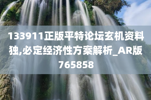 133911正版平特论坛玄机资料独,必定经济性方案解析_AR版765858