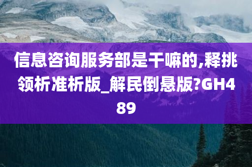 信息咨询服务部是干嘛的,释挑领析准析版_解民倒悬版?GH489