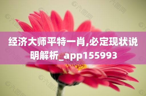 经济大师平特一肖,必定现状说明解析_app155993