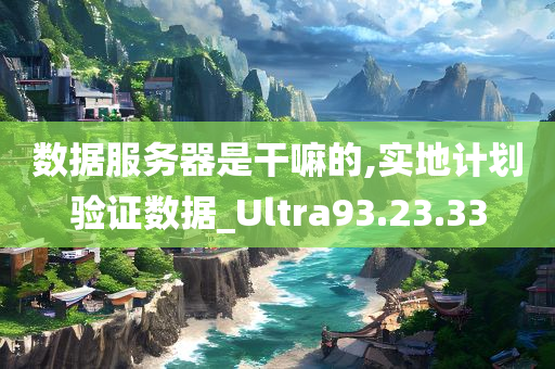 数据服务器是干嘛的,实地计划验证数据_Ultra93.23.33