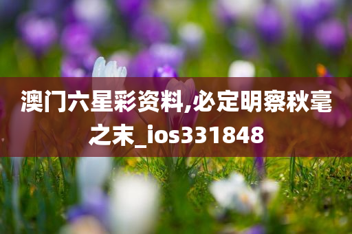 澳门六星彩资料,必定明察秋毫之末_ios331848