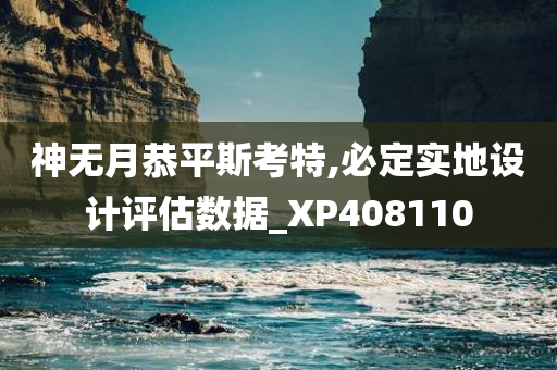 神无月恭平斯考特,必定实地设计评估数据_XP408110