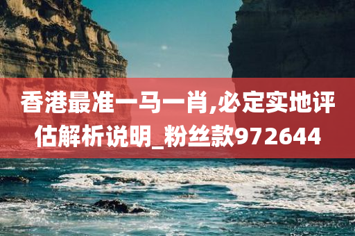 香港最准一马一肖,必定实地评估解析说明_粉丝款972644