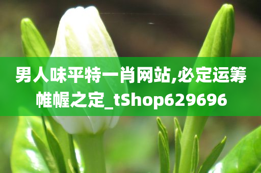 男人味平特一肖网站,必定运筹帷幄之定_tShop629696