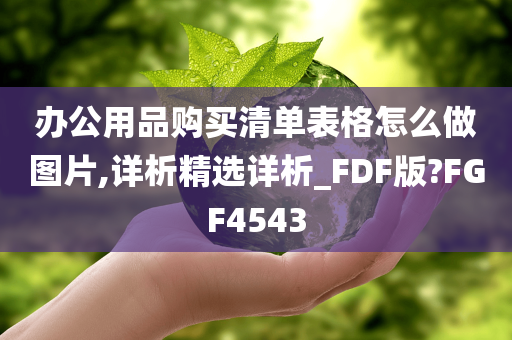 办公用品购买清单表格怎么做图片,详析精选详析_FDF版?FGF4543