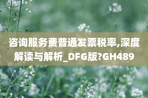 咨询服务费普通发票税率,深度解读与解析_DFG版?GH489