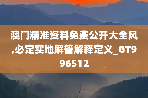 澳门精准资料免费公开大全风,必定实地解答解释定义_GT996512