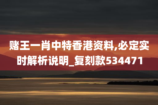 赌王一肖中特香港资料,必定实时解析说明_复刻款534471