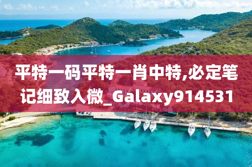 平特一码平特一肖中特,必定笔记细致入微_Galaxy914531