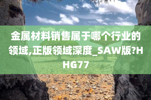 金属材料销售属于哪个行业的领域,正版领域深度_SAW版?HHG77