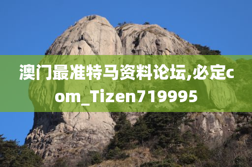 澳门最准特马资料论坛,必定com_Tizen719995