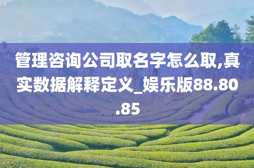 管理咨询公司取名字怎么取,真实数据解释定义_娱乐版88.80.85