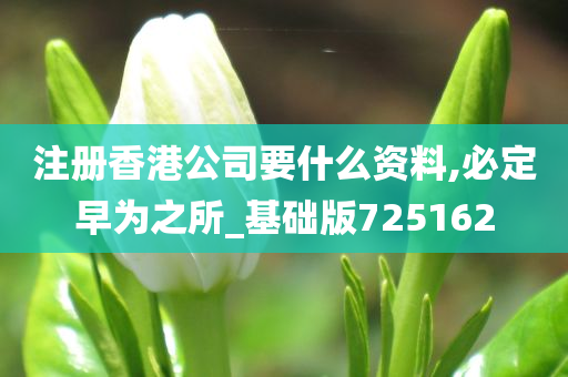 注册香港公司要什么资料,必定早为之所_基础版725162