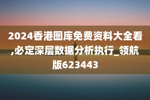 2024香港图库免费资料大全看,必定深层数据分析执行_领航版623443