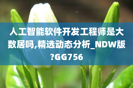 人工智能软件开发工程师是大数居吗,精选动态分析_NDW版?GG756