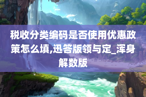 税收分类编码是否使用优惠政策怎么填,迅答版领与定_浑身解数版