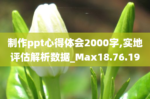 制作ppt心得体会2000字,实地评估解析数据_Max18.76.19