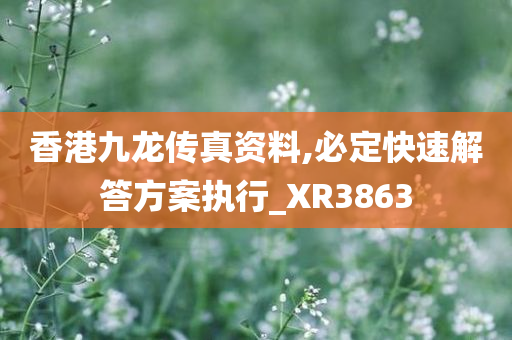 香港九龙传真资料,必定快速解答方案执行_XR3863