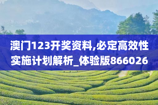 澳门123开奖资料,必定高效性实施计划解析_体验版866026