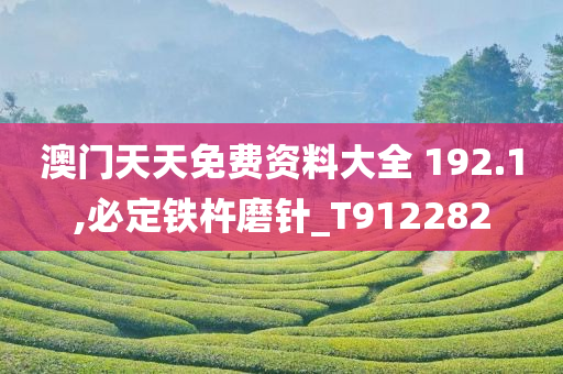 澳门天天免费资料大全 192.1,必定铁杵磨针_T912282