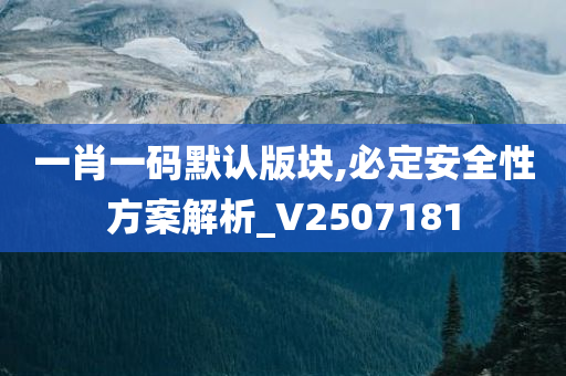 一肖一码默认版块,必定安全性方案解析_V2507181