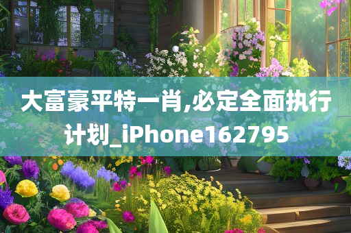 大富豪平特一肖,必定全面执行计划_iPhone162795