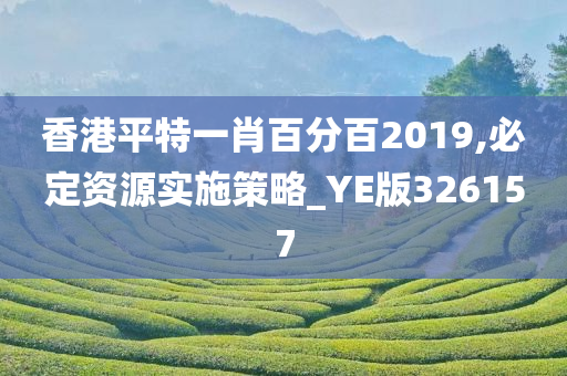 香港平特一肖百分百2019,必定资源实施策略_YE版326157