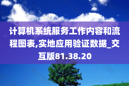 计算机系统服务工作内容和流程图表,实地应用验证数据_交互版81.38.20