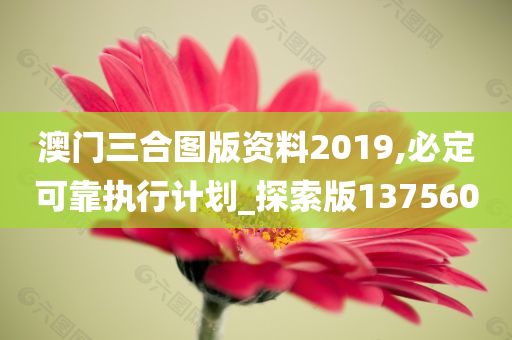 澳门三合图版资料2019,必定可靠执行计划_探索版137560