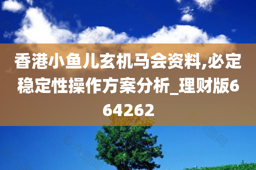 香港小鱼儿玄机马会资料,必定稳定性操作方案分析_理财版664262