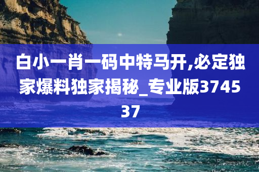 白小一肖一码中特马开,必定独家爆料独家揭秘_专业版374537