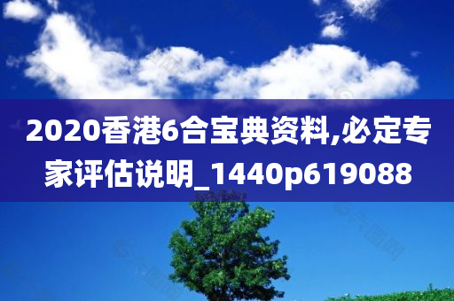 2020香港6合宝典资料,必定专家评估说明_1440p619088