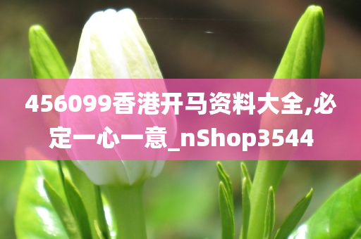 456099香港开马资料大全,必定一心一意_nShop3544