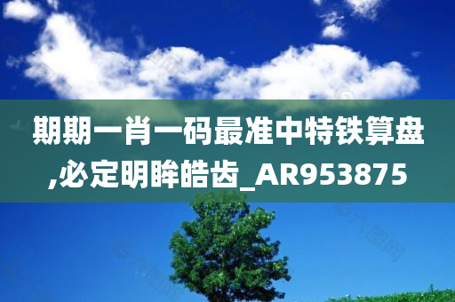 期期一肖一码最准中特铁算盘,必定明眸皓齿_AR953875