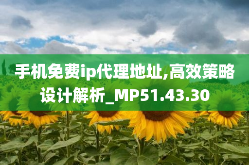 手机免费ip代理地址,高效策略设计解析_MP51.43.30