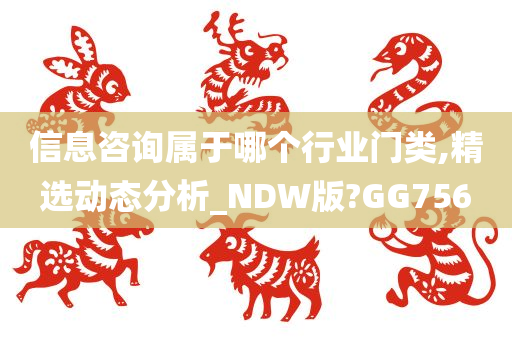 信息咨询属于哪个行业门类,精选动态分析_NDW版?GG756