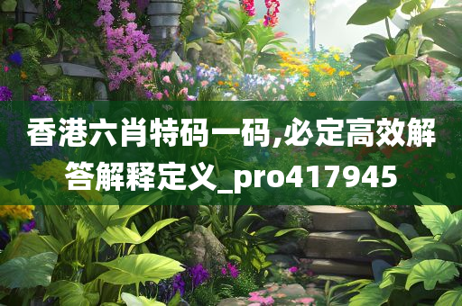 香港六肖特码一码,必定高效解答解释定义_pro417945