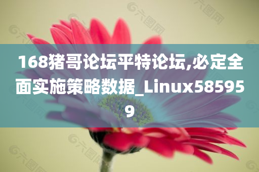 168猪哥论坛平特论坛,必定全面实施策略数据_Linux585959