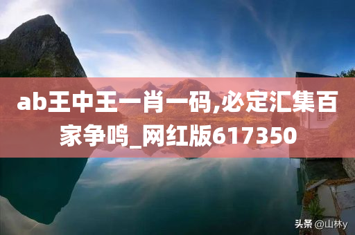 ab王中王一肖一码,必定汇集百家争鸣_网红版617350