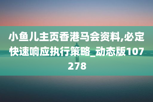 小鱼儿主页香港马会资料,必定快速响应执行策略_动态版107278