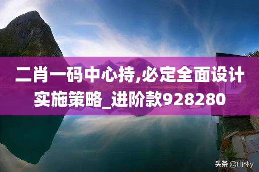 二肖一码中心持,必定全面设计实施策略_进阶款928280