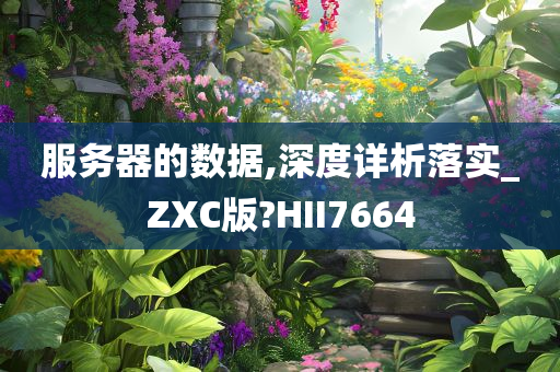 服务器的数据,深度详析落实_ZXC版?HII7664